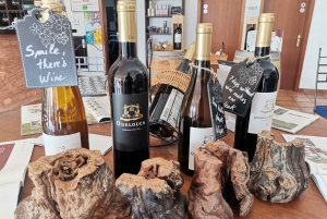 From Lagos: Small-Group 4-Hour Wine Tasting Tour