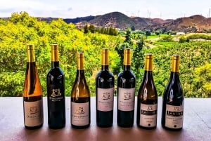 From Lagos: Small-Group 4-Hour Wine Tasting Tour