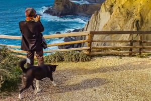 Lagosista: Villi ja ihana länsirannikko kokopäiväretki