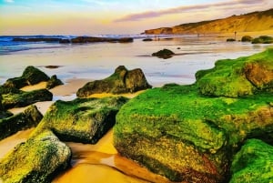 Lagosista: Villi ja ihana länsirannikko kokopäiväretki