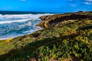 Lagosista: Villi ja ihana länsirannikko kokopäiväretki