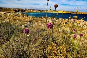 Lagosista: Villi ja ihana länsirannikko kokopäiväretki
