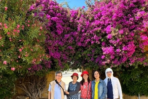 From Lisbon: Private tour to Algarve,Benagil cave & Lagos