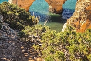 Z Milfontes: Jaskinie Benagil i Algarve Wycieczka prywatna