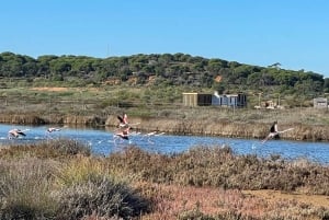 De Monte Gordo: vol panoramique privé en gyrocoptère en Algarve