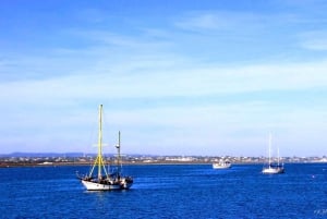 Olhão: Ria Formosa 3 Islands Guided Day Trip by Boat