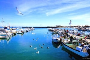 Ab Olhão: 3 Inseln Bootsfahrt Ria Formosa