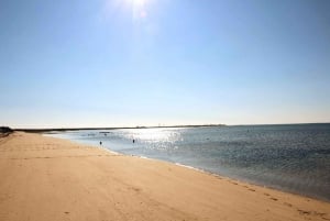 From Olhão: 3 Islands Boat Trip Ria Formosa