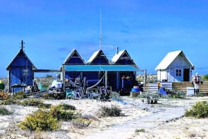 Ab Olhão: 3 Inseln Bootsfahrt Ria Formosa