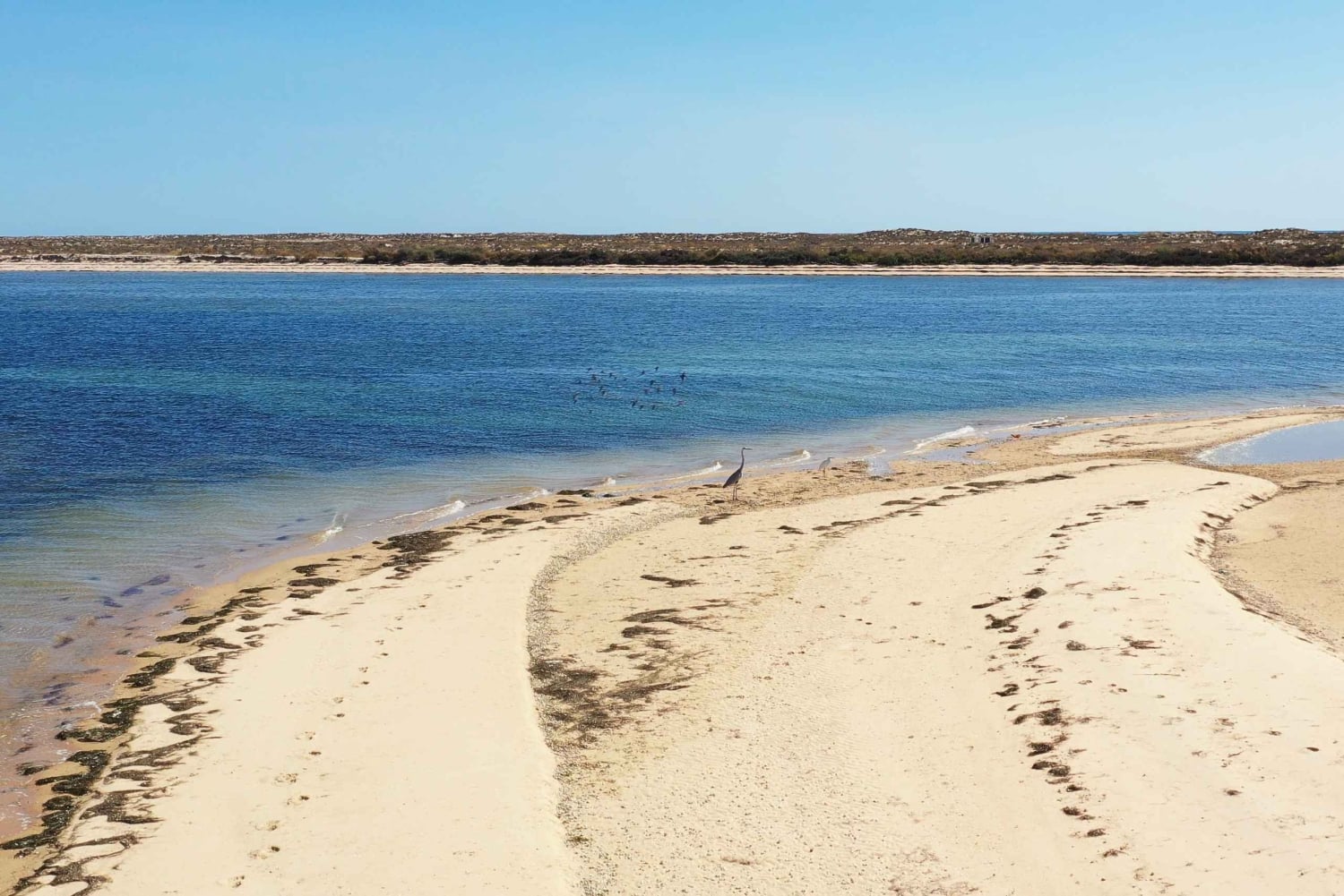 From Olhão: Ria Formosa 3-Island Full-Day Tour with Sunset