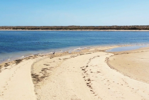 From Olhão: Ria Formosa 3-Island Full-Day Tour with Sunset