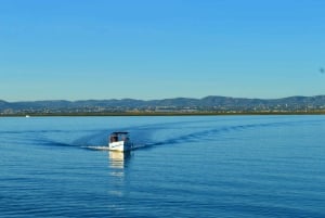 From Olhão: Ria Formosa 3-Island Full-Day Tour with Sunset