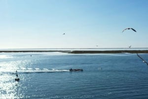 From Olhão: Ria Formosa 3-Island Full-Day Tour with Sunset