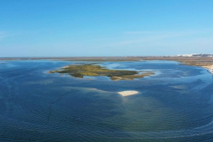 From Olhão: Ria Formosa 3-Island Full-Day Tour