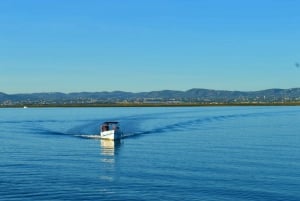 Desde Olhão: Tour de día completo por las 3 islas de la Ría Formosa