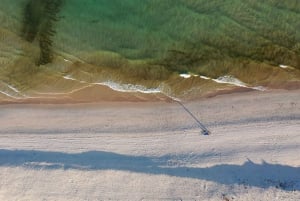 Desde Olhão: Tour de día completo por las 3 islas de la Ría Formosa