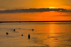 Fra Olhão: Ria Formosa Sunset Island Boat Tour
