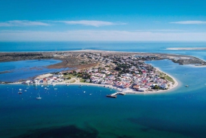 Fra Olhão: Ria Formosa Sunset Island Boat Tour