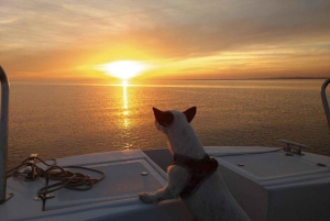 Fra Olhão: Ria Formosa Sunset Island Boat Tour