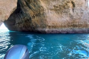 From Portimão: Algar de Benagil and Sea Caves Boat Tour