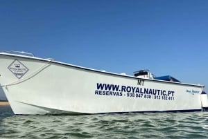 Fra Portimão: Algar de Benagil og bådtur til havets grotter