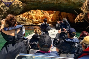 Från Portimão: Algar de Benagil och båttur i havsgrottor