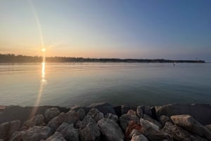 Från Portimão: Algar de Benagil och båttur i havsgrottor