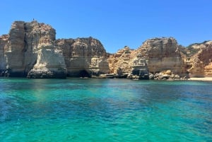 Från Portimão: Algar de Benagil och båttur i havsgrottor