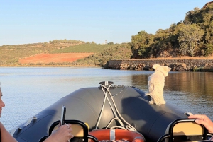 From Portimão: Arade River Boat Tour to Silves Medieval Town