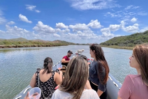 From Portimão: Arade River Boat Tour to Silves Medieval Town