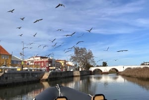 From Portimão: Arade River Boat Tour to Silves Medieval Town