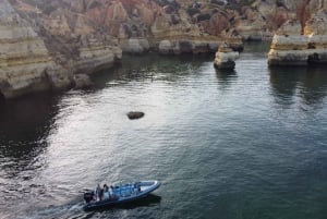De Portimão: Benagil e Marinha Passeio de Barco Privado