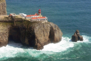 From Portimao: Benagil Cave and Marinha Beach Boat Tour