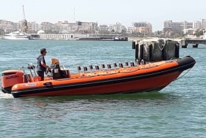 ポルトイマオ：ベナジル洞窟と海岸線ボートツアー