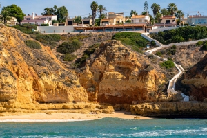 ポルトイマオ：ベナジル洞窟と海岸線ボートツアー