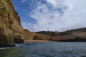ポルトイマオ：ベナジル洞窟と海岸線ボートツアー