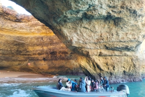 Fra Portimão: Benagil-hulerne og Marinha-stranden bådtur