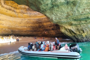 Fra Portimão: Benagil-hulerne og Marinha-stranden bådtur
