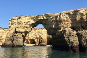 A partir de Portimão: Passeio de barco às Grutas de Benagil