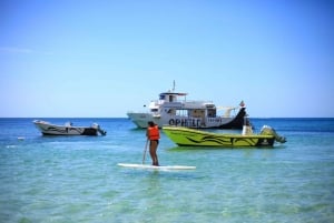 Portimão: Passeio de Catamarã Grutas de Benagil c/ Churrasco