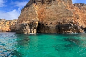 From Portimão:Dolphin Watch & Lagos Coastline with Biologist