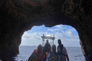 Fra Portimão: Delfinobservation og Lagos' kystlinje med biolog