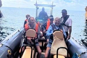 From Portimão:Dolphin Watch & Lagos Coastline with Biologist