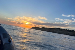 Portimãosta: Benagilin luoliin.