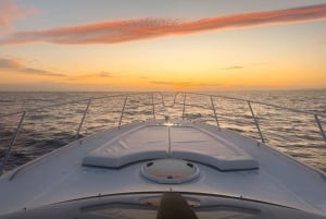 Von Quarteira: Luxusyachtcharter Algarve-Küste & Benagil