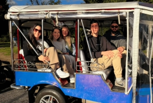 Lisbonne en Tuk-Tuk électrique : des ruines romaines à la Révolution des Œillets