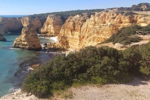 Från Tavira: Vandring i 7 dalar, Benagil-grottan och snorkling