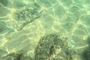 Från Tavira: Vandring i 7 dalar, Benagil-grottan och snorkling