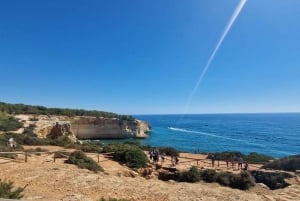 From Tavira: 7 Valleys Hiking, Benagil Cave and Snorkeling