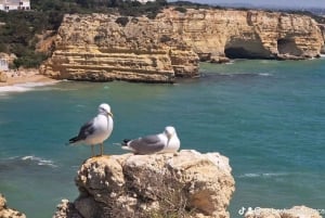 From Tavira: 7 Valleys Hiking, Benagil Cave and Snorkeling